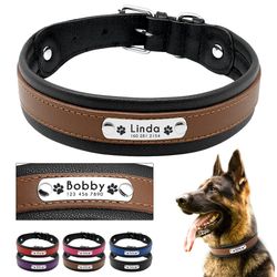 Personalized Genuine Leather Large Dog Collar with ID | Custom Padded for Medium-Large Pets