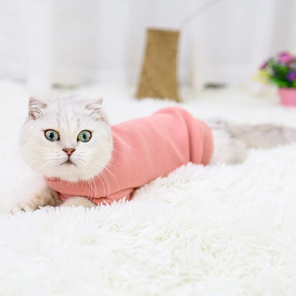 xYiPDog-Cat-Clothes-Leisure-Dogs-Hoodies-French-Bulldog-Sphinx-Autumn-and-Winter-Warm-Clothes-Puppy-Cat.jpg