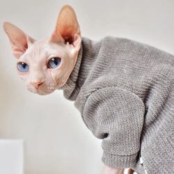 Elegant Sphynx Cat Sweater: Fashionable Winter Wear for Comfort