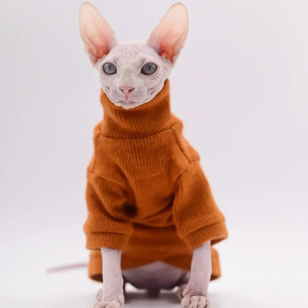 jmL3Elegant-Warm-Sphynx-Cat-Sweater-Fashion-Kitty-Hairless-Bald-Cat-Clothes-for-Cat-Comfort-Winter-Dress.jpg
