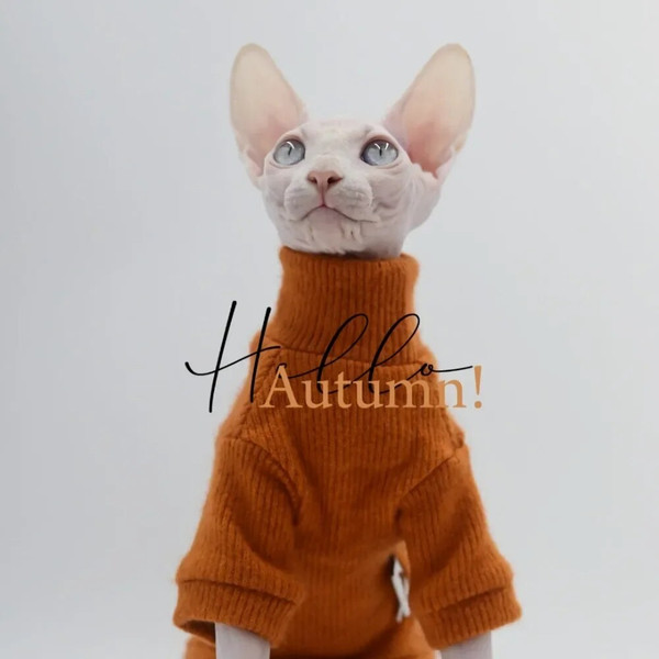 QebbElegant-Warm-Sphynx-Cat-Sweater-Fashion-Kitty-Hairless-Bald-Cat-Clothes-for-Cat-Comfort-Winter-Dress.jpg