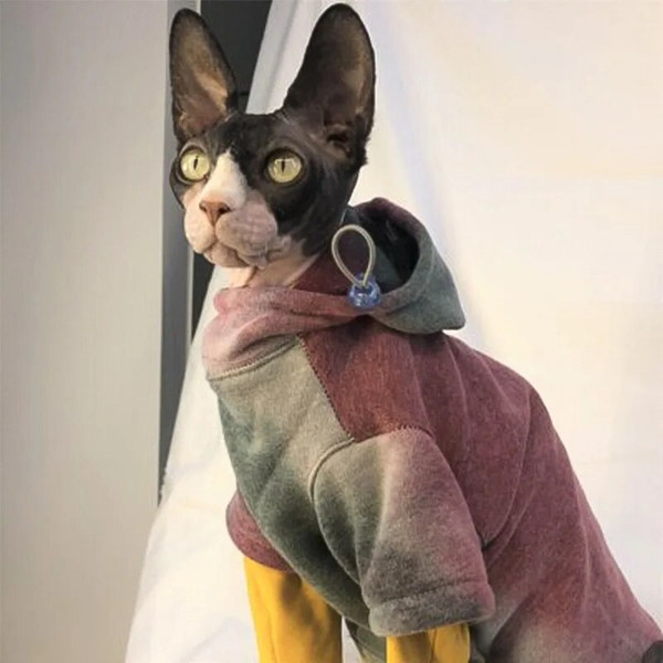 YTYRSphynx-Cat-Clothes-Autumn-Winter-Fashion-Luxury-Dog-Cat-Hoodie-New-Arrival-Pet-Sphinx-Clothing-Cotton.jpg