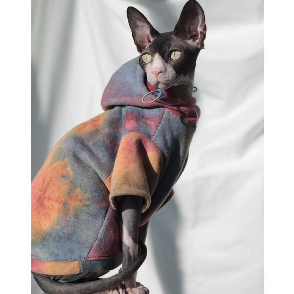 lwguSphynx-Cat-Clothes-Autumn-Winter-Fashion-Luxury-Dog-Cat-Hoodie-New-Arrival-Pet-Sphinx-Clothing-Cotton.jpg