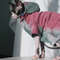 st0ESphynx-Cat-Clothes-Autumn-Winter-Fashion-Luxury-Dog-Cat-Hoodie-New-Arrival-Pet-Sphinx-Clothing-Cotton.jpg