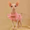 vyoL2021-Luxury-Sphynx-Cat-Clothes-Summer-Dog-Fancy-Dress-For-Hairless-Cats-Clothing-Small-French-Bulldog.jpg