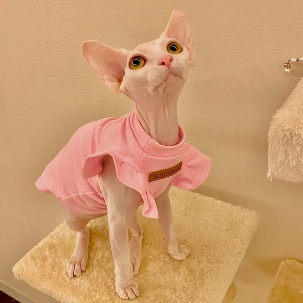 BKmO2021-Luxury-Sphynx-Cat-Clothes-Summer-Dog-Fancy-Dress-For-Hairless-Cats-Clothing-Small-French-Bulldog.jpg