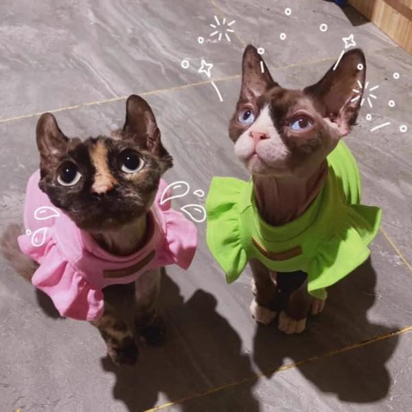 8G9T2021-Luxury-Sphynx-Cat-Clothes-Summer-Dog-Fancy-Dress-For-Hairless-Cats-Clothing-Small-French-Bulldog.jpg