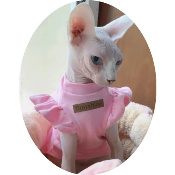 wVmV2021-Luxury-Sphynx-Cat-Clothes-Summer-Dog-Fancy-Dress-For-Hairless-Cats-Clothing-Small-French-Bulldog.jpg