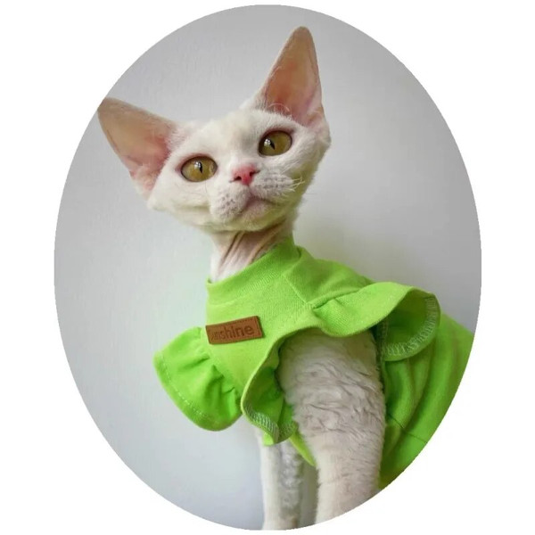 5avc2021-Luxury-Sphynx-Cat-Clothes-Summer-Dog-Fancy-Dress-For-Hairless-Cats-Clothing-Small-French-Bulldog.jpg