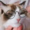 SvnmVintage-Round-Cat-Sunglasses-Reflection-Eyewear-Glasses-Pet-Products-for-Dog-Kitten-Dog-Cat-Accessories-for.jpg