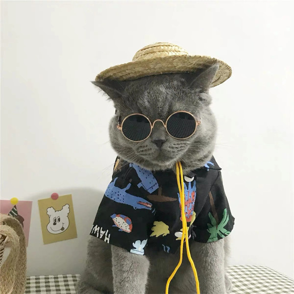 irVaVintage-Round-Cat-Sunglasses-Reflection-Eyewear-Glasses-Pet-Products-for-Dog-Kitten-Dog-Cat-Accessories-for.jpg
