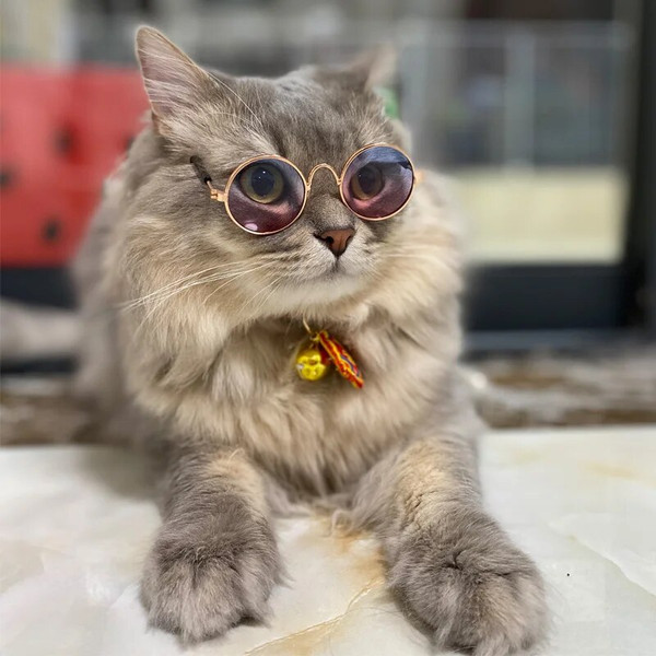 QLgeVintage-Round-Cat-Sunglasses-Reflection-Eyewear-Glasses-Pet-Products-for-Dog-Kitten-Dog-Cat-Accessories-for.jpg
