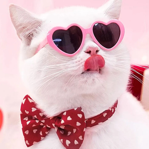 z5918Colours-Pet-Heart-Glasses-Pet-Fashion-Sunglasses-Pet-Grooming-for-Pet-Dogs-Cat-Yorkie-Teddy-Chihuahua.jpg