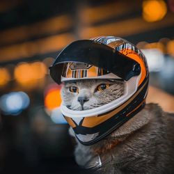 Full Face Pet Motorcycle Helmet | Outdoor Riding Hat for Cat & Puppy