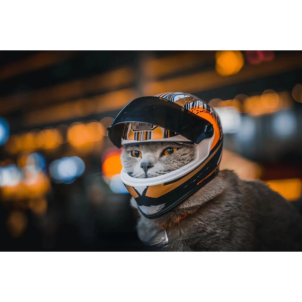 TEupPet-Motorcycle-Helmet-Full-Face-Motorcycle-Helmet-Outdoor-Motorcycle-Bike-Riding-Helmet-Hat-for-Cat-Puppy.jpg