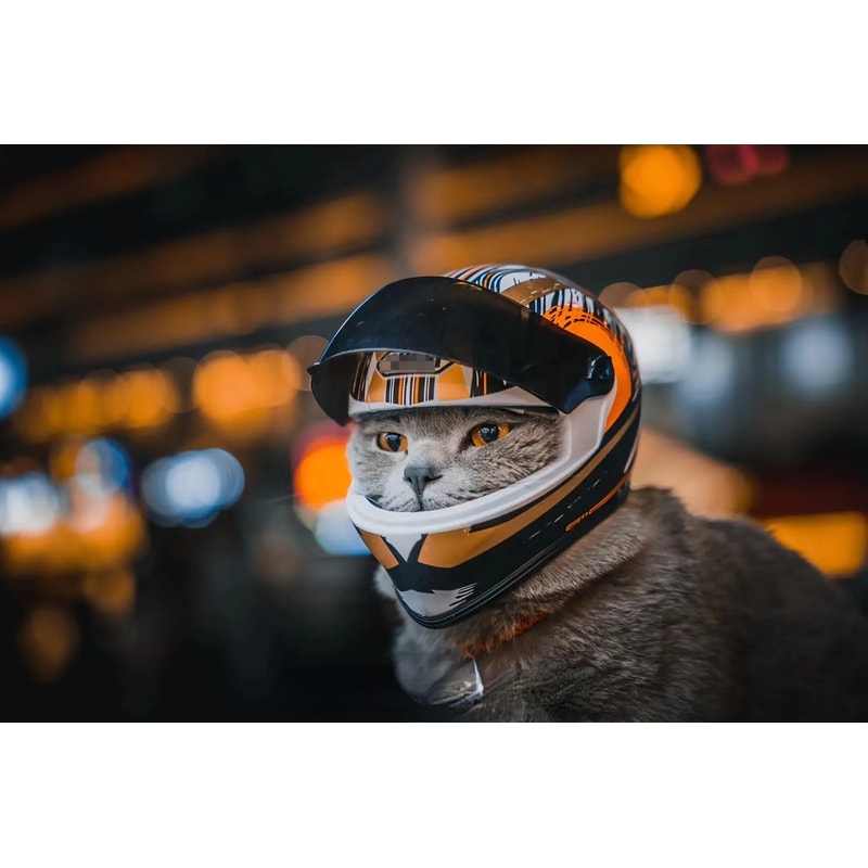 Full Face Pet Motorcycle Helmet | Outdoor Riding Hat for Cat | Inspire Uplift Full Face Pet Motorcycle Helmet | Outdoor Riding Hat for Cat | Inspire Uplift