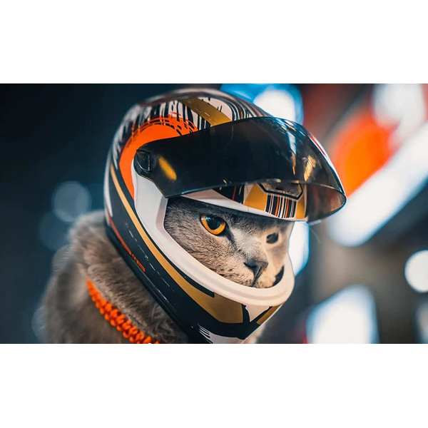 M065Pet-Motorcycle-Helmet-Full-Face-Motorcycle-Helmet-Outdoor-Motorcycle-Bike-Riding-Helmet-Hat-for-Cat-Puppy.jpg