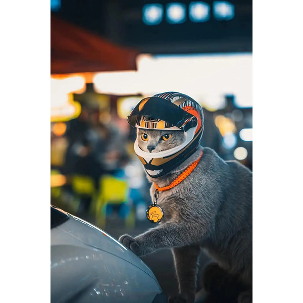 fA2APet-Motorcycle-Helmet-Full-Face-Motorcycle-Helmet-Outdoor-Motorcycle-Bike-Riding-Helmet-Hat-for-Cat-Puppy.jpg