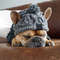 MTYCWinter-Warm-Dog-Hats-Windproof-Knitting-French-Bulldog-Hat-For-Dogs-Chihuahua-Hat-Fluffy-Ball-Pet.jpg