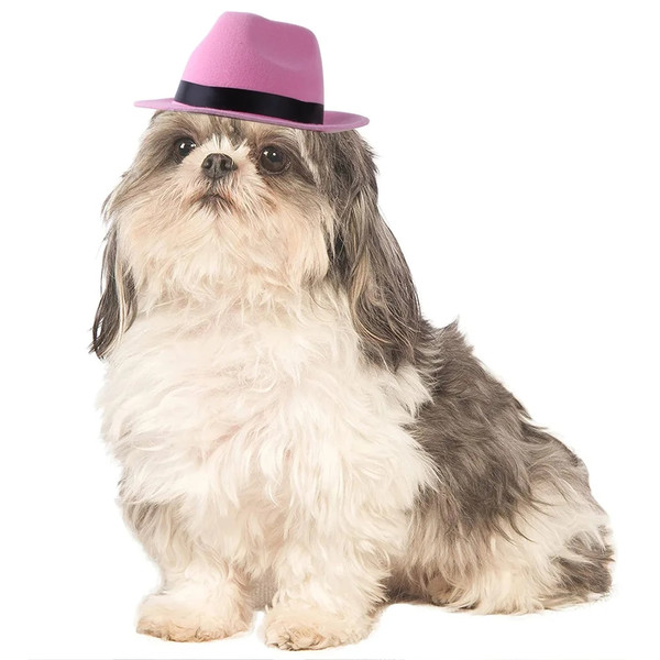 0EHzPet-Dog-Cowboy-Hat-Headgear-Cat-Funny-Headwear-Outdoor-Adjustable-Dog-Caps-Performance-Photo-Props-Cosplay.jpg