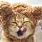 TKggChristmas-Pet-Hat-Cute-Antlers-Saliva-Towel-Cat-Headgear-Hat-Birthday-Dress-Up-Plush-Rabbit-Ears.jpg