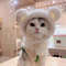 IATSChristmas-Pet-Hat-Cute-Antlers-Saliva-Towel-Cat-Headgear-Hat-Birthday-Dress-Up-Plush-Rabbit-Ears.jpg