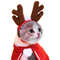 AXPTChristmas-Pet-Hat-Cute-Antlers-Saliva-Towel-Cat-Headgear-Hat-Birthday-Dress-Up-Plush-Rabbit-Ears.jpeg