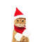 NJEOChristmas-Pet-Hat-Cute-Antlers-Saliva-Towel-Cat-Headgear-Hat-Birthday-Dress-Up-Plush-Rabbit-Ears.jpeg
