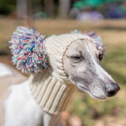 Italian Greyhound Whippet Winter Pet Hat with Fur Ball
