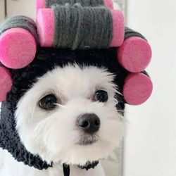 Adorable Pet Hat: Cute Curly Hair Shape for Dogs & Cats
