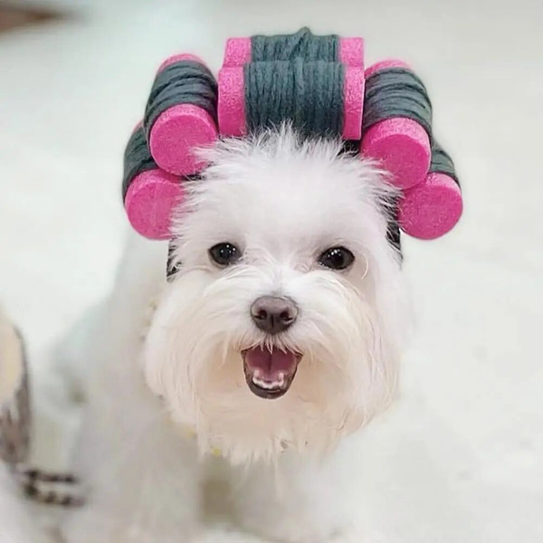 0ew3Vivid-Pet-Hat-Cute-Curly-Hair-Shape-Dog-Hat-Adorable-Pet-Cat-Dog-Headgear-Soft-Lightweight.jpg