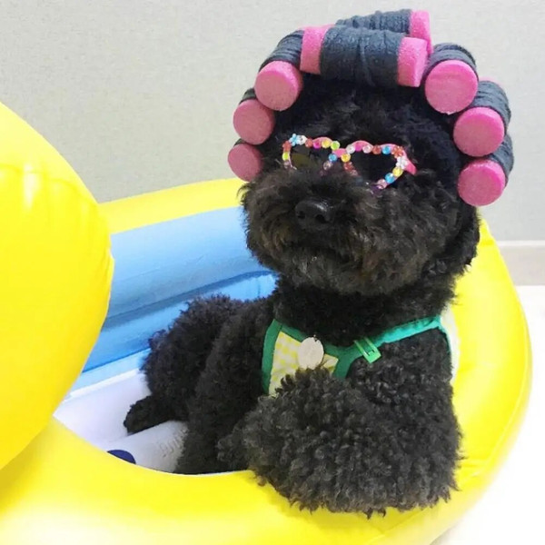 N7YdVivid-Pet-Hat-Cute-Curly-Hair-Shape-Dog-Hat-Adorable-Pet-Cat-Dog-Headgear-Soft-Lightweight.jpg