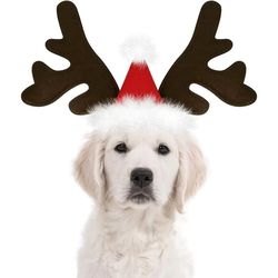 Christmas Dog Supplies: Elk Reindeer Antlers & Santa Hat Costume
