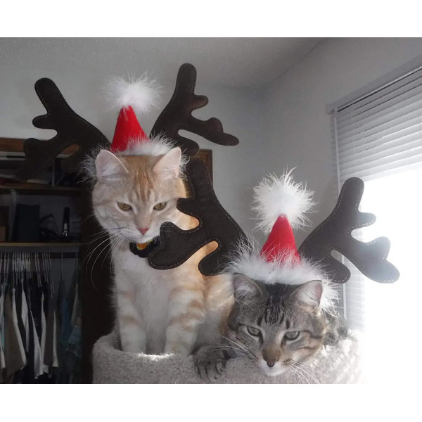 mR0EChristmas-Dog-Supplies-Elk-Reindeer-Antlers-Headband-Santa-Hat-Pet-Christmas-Cool-Dog-Costume-Cute-Headwear.jpg