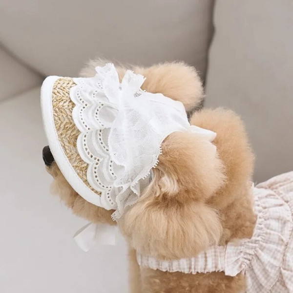 cjJoINS-Fashion-Lace-Straw-Sunshade-Dog-Hat-Dog-Pet-Cat-Pet-Tied-Rope-Pig-Nose-Buckle.jpg