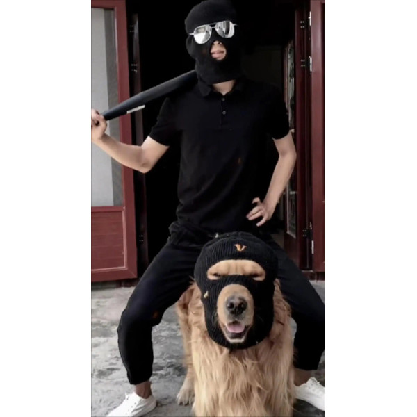 3IuyFunny-Dog-Costumes-for-Large-Dogs-SkiDog-Hats-for-Dogs-Pet-Dog-Helmet-Accessories-Robber-Cosplay.jpg