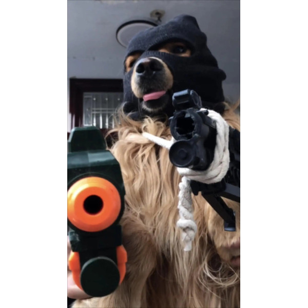lQ6NFunny-Dog-Costumes-for-Large-Dogs-SkiDog-Hats-for-Dogs-Pet-Dog-Helmet-Accessories-Robber-Cosplay.jpg