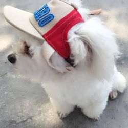 Small Puppy Sport Letter Cap: Baseball Visor Hat for Dogs