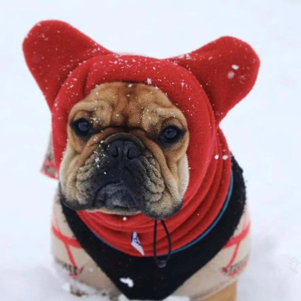 aBF2Winter-Pet-Hat-Fleece-Adjustable-Dog-Warm-Hat-Ears-Hoodie-Cold-Weather-Warm-Caps-for-Pets.jpg