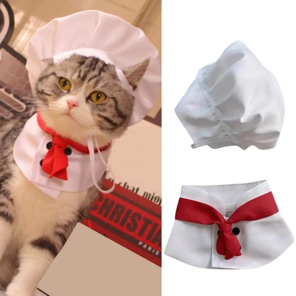 3vggPet-Cooking-King-Hat-Chef-Hat-Set-Cat-Dog-Transformation-Dress-Cute-Photo-Decoration-Hat-Dog.jpg