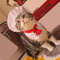 iVusPet-Cooking-King-Hat-Chef-Hat-Set-Cat-Dog-Transformation-Dress-Cute-Photo-Decoration-Hat-Dog.jpg