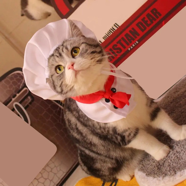 iVusPet-Cooking-King-Hat-Chef-Hat-Set-Cat-Dog-Transformation-Dress-Cute-Photo-Decoration-Hat-Dog.jpg