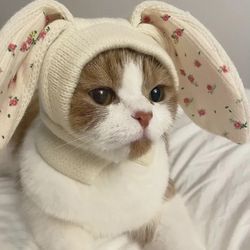 Warm Pet Knitted Hats: Cute Rabbit Ears for Dogs & Cats