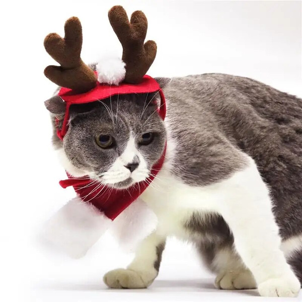 5HH7Christmas-Dog-Headbands-Antlers-Pet-Supplies-Dog-Cat-Deer-Headband-Decoration-Teddy-Dog-Antlers-Dog-Gentleman.jpg