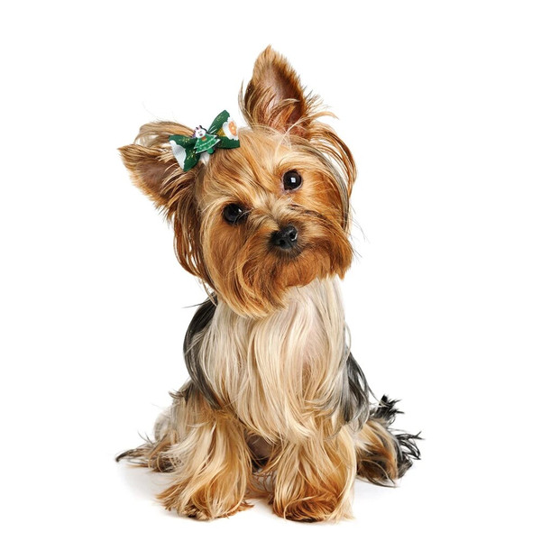 dXn410-20Pcs-Christmas-Small-Dogs-Hair-Accessories-Pet-Dog-Hair-Bows-for-Puppy-Yorkshirk-Xmas-Dog.jpg