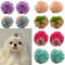 3Ah410-Pcs-Colorful-Mesh-Ball-Pet-Dog-Hair-Bows-Rubber-Bands-Pet-Hair-Decoration-Puppy-Cat.jpg