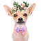 RnFp20pcs-Lace-Pet-Dog-Bowties-Sequin-Angel-Wing-Fashion-Bulk-Dog-Bow-Tie-Collar-for-Medium.jpg