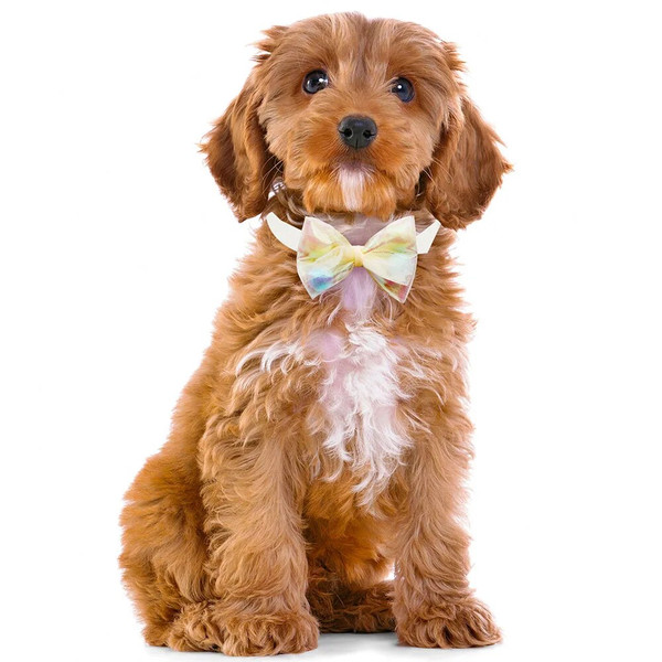 Keju50PCS-Lace-Bow-Ties-for-Small-Dog-Adjustable-Dog-Collar-Cat-Collar-Cute-Pompoms-Bowties-for.jpg