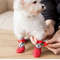 8Z204pcs-Puppy-Dog-Teddy-Socks-Waterproof-Cat-Shoes-Anti-Scratch-Foot-Cover-Anti-Dirty-Pet-Socks.jpg