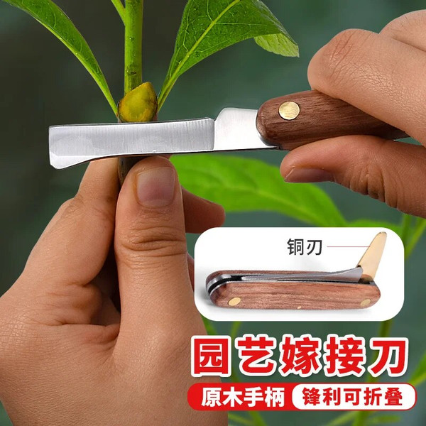 T7qfGrafting-Tools-Foldable-Grafting-Pruning-Knife-Professional-Garden-Grafting-Cutter-Stainless-Steel-Wooden-Handle-Knife-Tool.jpg